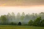 Tennessee Early morning fog in Cades Cove Art Print
